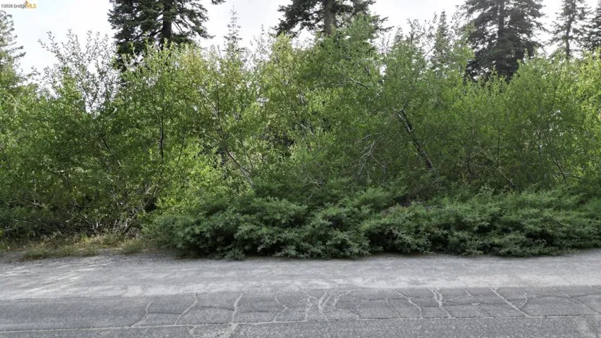 Looking straight on at the lot.