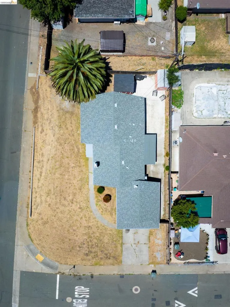 Corner lot property featuring a gray shingle roof, a large palm tree, concrete pathways, and a gravel driveway