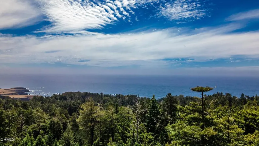 Ocean View Across Redwoods
