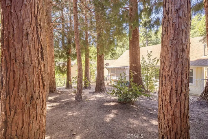 2383 Secret, Running Springs, California 92382