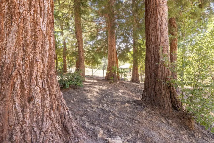 2383 Secret, Running Springs, California 92382