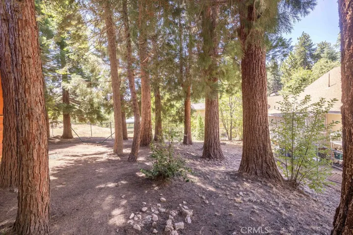 2383 Secret, Running Springs, California 92382