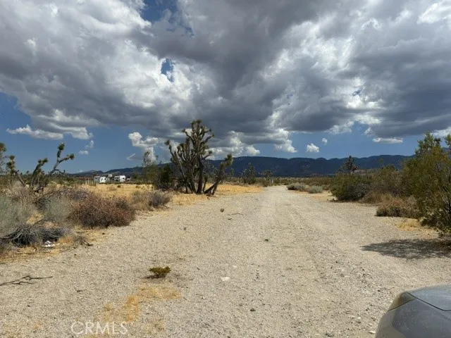 0 Ste/vic, Black Butte, California 93591