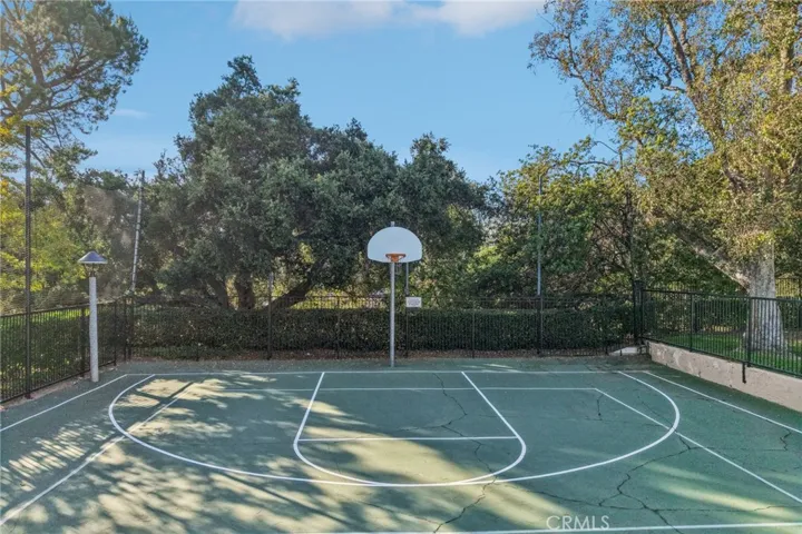 Basketball Court