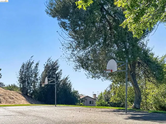 Basket Ball Courts