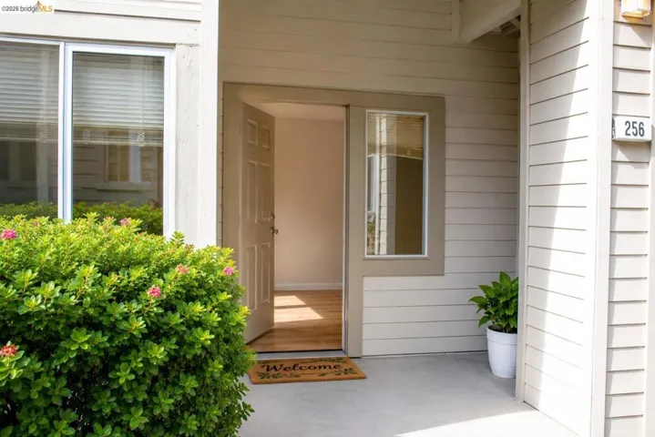 Entryway featuring a paneled door, horizontal siding, and a concrete patio