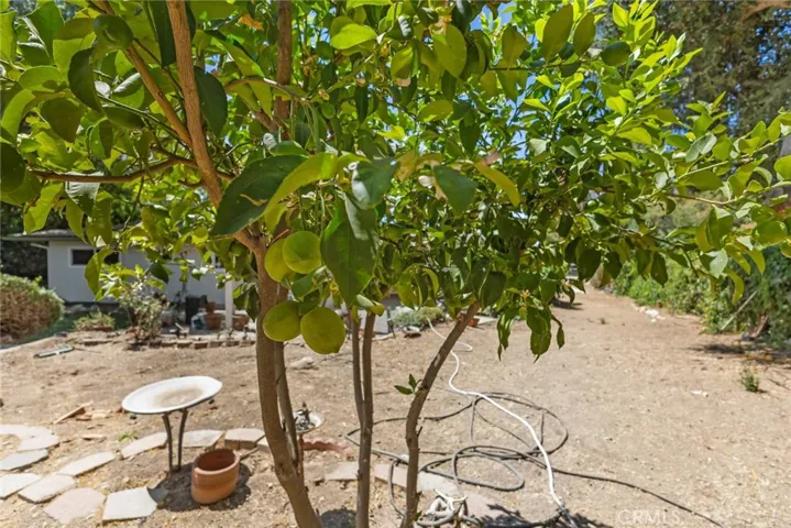 39664 Orchard, Cherry Valley, California 92223