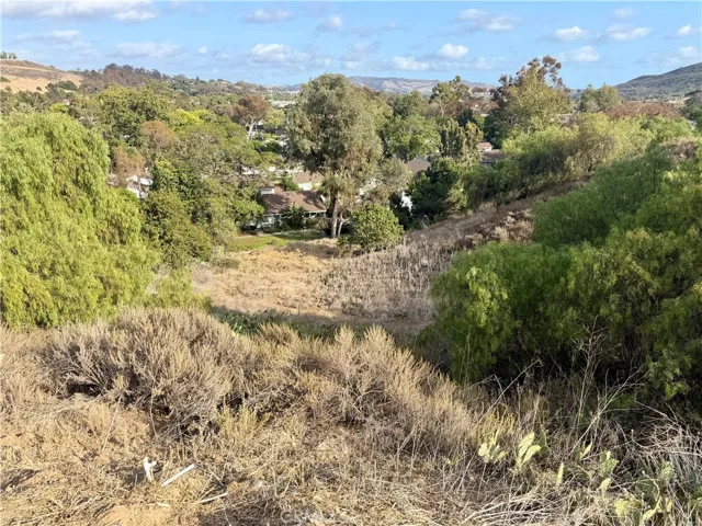 Lower section of the lot.
