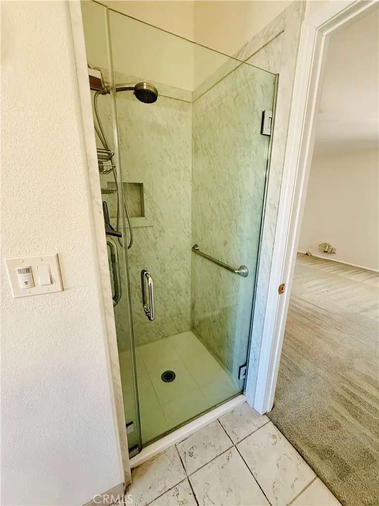 Primary bathroom modern walk-in shower