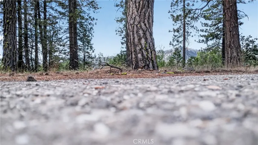 2500 Round Valley Road, Greenville, California 95947