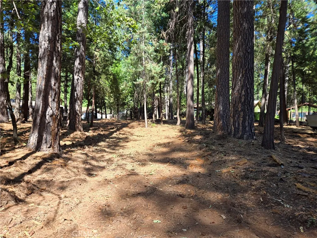 0 Tikker Ln, Magalia, California 95954 — photo 4
