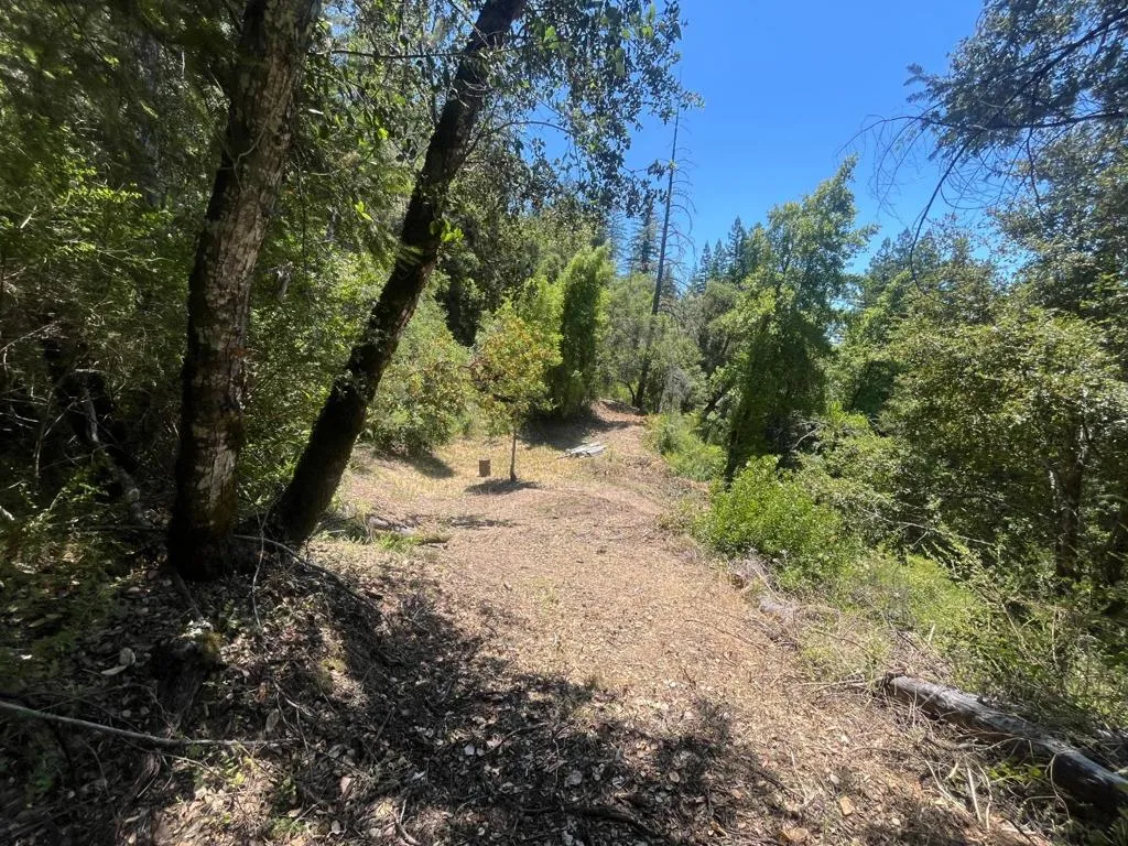 0 Deer Creek (lot 21) Road, Boulder Creek, California 95006 — photo 5