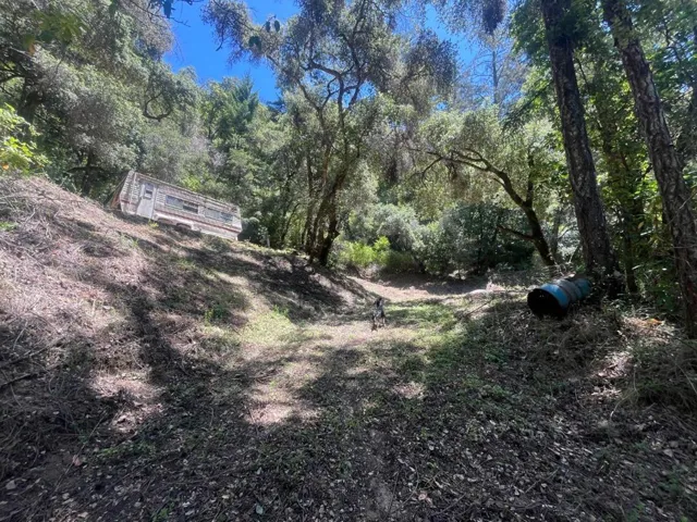 0 Deer Creek (lot 21) Road, Boulder Creek, California 95006