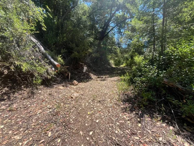 0 Deer Creek (lot 21) Road, Boulder Creek, California 95006