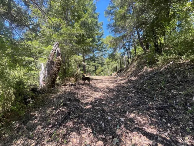 0 Deer Creek (lot 21) Road, Boulder Creek, California 95006