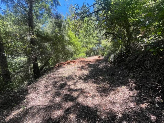 0 Deer Creek (lot 21) Road, Boulder Creek, California 95006