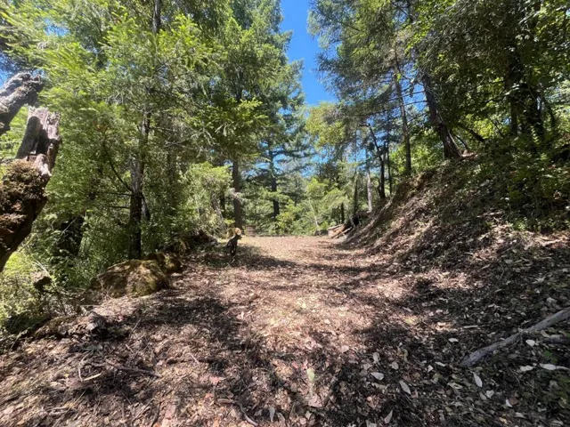 0 Deer Creek (lot 21) Road, Boulder Creek, California 95006