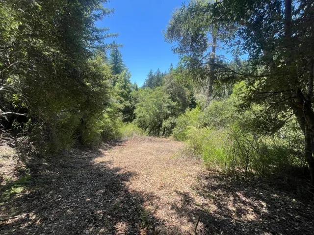 0 Deer Creek (lot 21) Road, Boulder Creek, California 95006