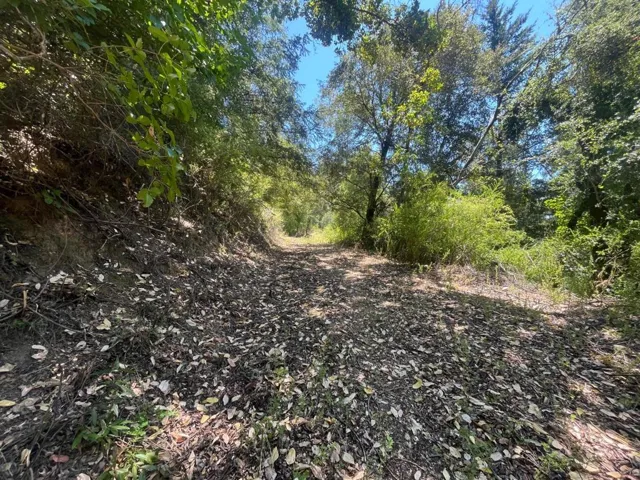 0 Deer Creek (lot 21) Road, Boulder Creek, California 95006