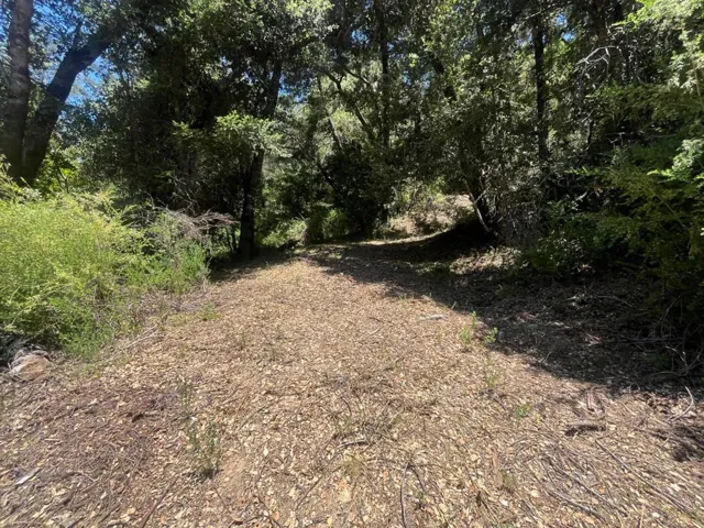 0 Deer Creek (lot 21) Road, Boulder Creek, California 95006
