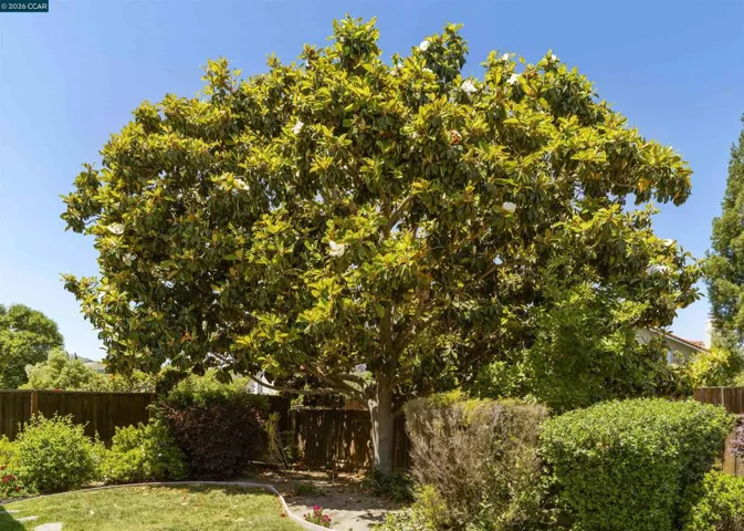 3237 Vera Cruz Dr, San Ramon, California 94583
