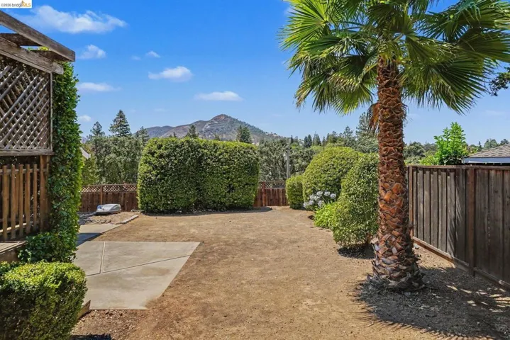 Expansive backyard featuring a mature palm tree, established privacy landscaping, wood fencing, a concrete patio area, and distant mountain scenery