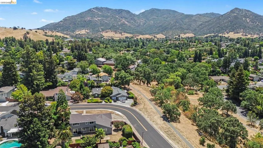 Expansive suburban setting with established tree canopy and distant mountain backdrop