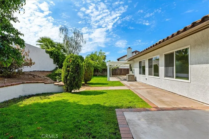 Back yard