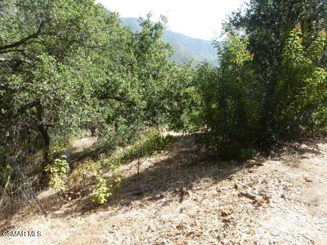 P1020210
