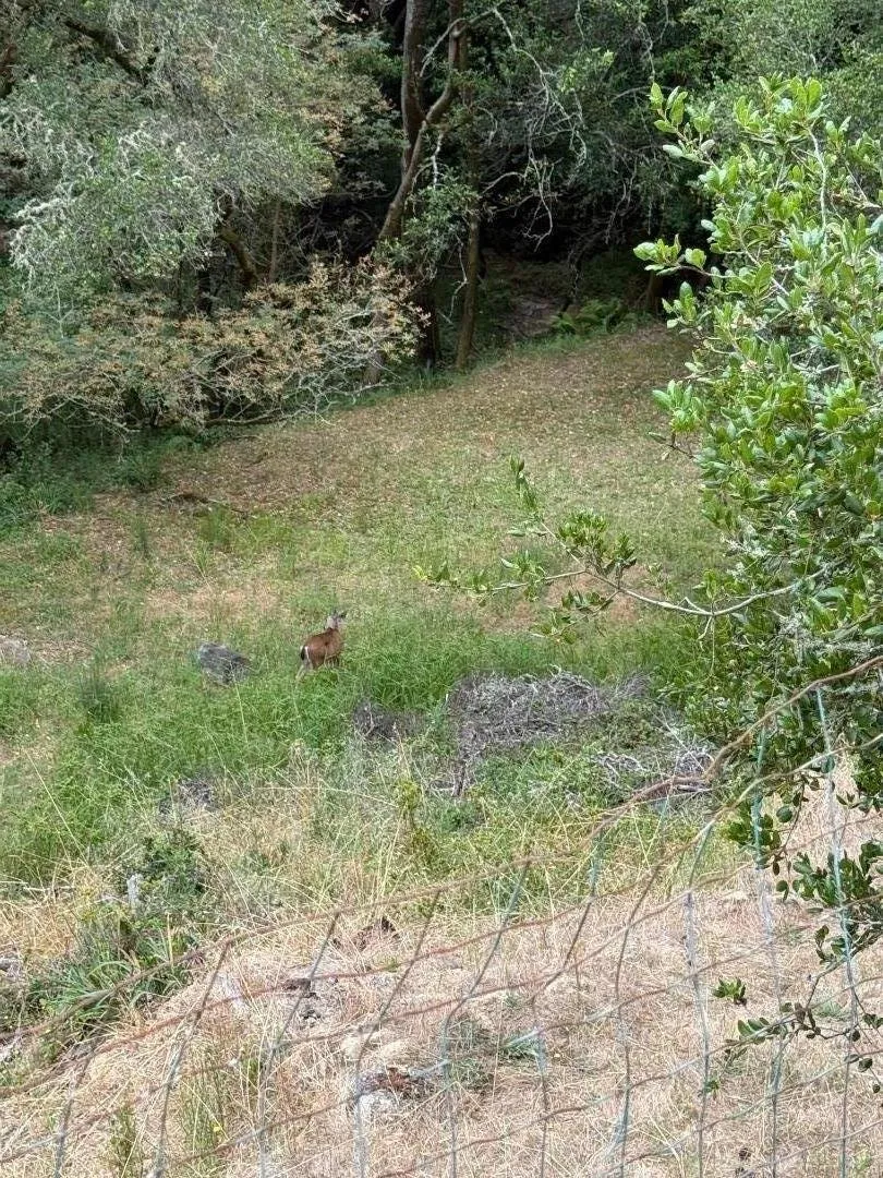 flat areas behind home- gently sloped