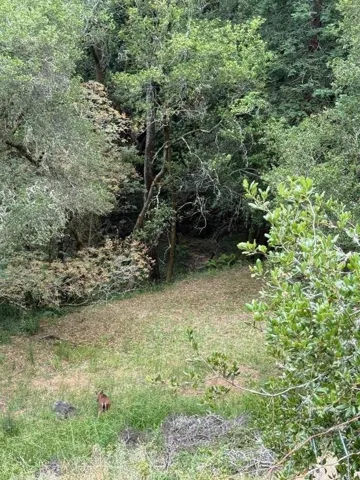flat areas behind home- gently sloped