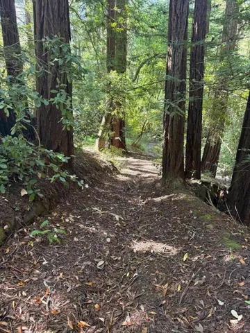 trail on property to creek and Huddart Park