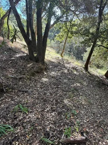 gently sloped in areas
