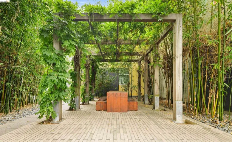 Pergola structure with overhead foliage cover, flanked by tall bamboo plantings and a stone paver pathway