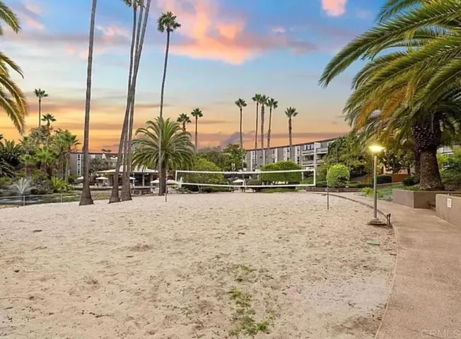 Volleyball court