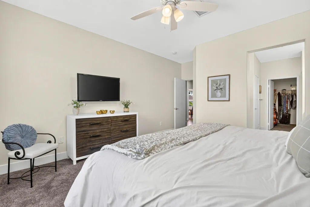 78724-palm-tree-ave-003