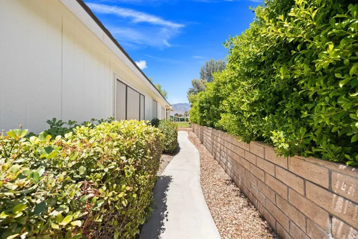 11-web-or-mls-8M4A2931