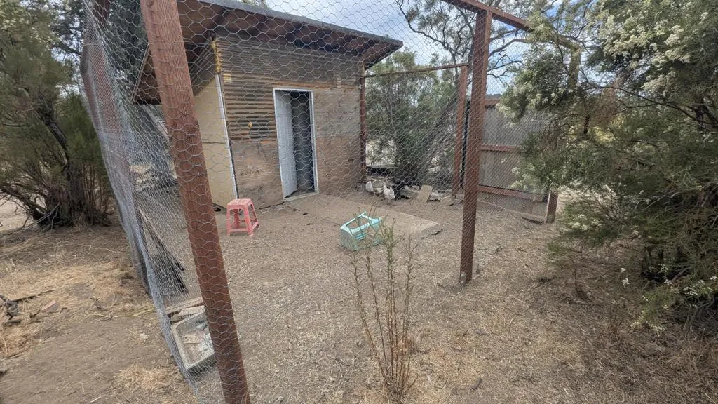PXL_20260712_193843600