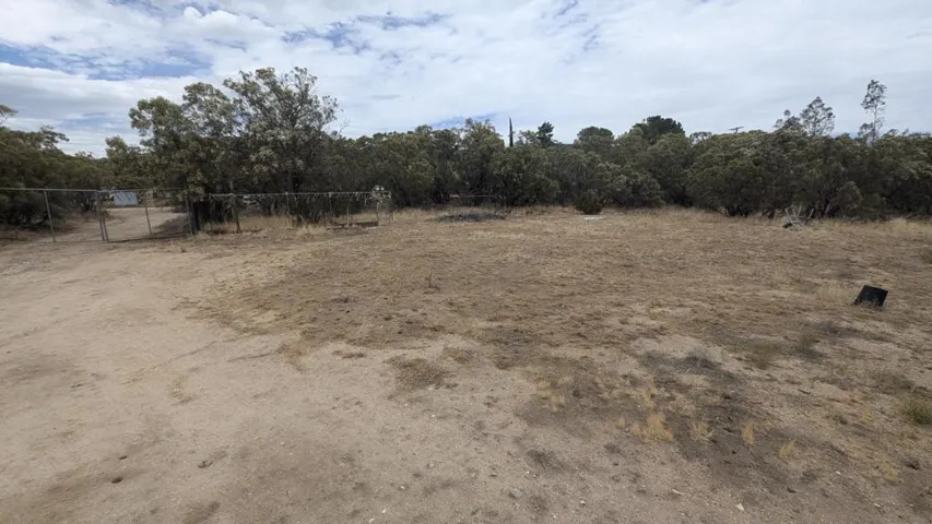 PXL_20260712_194043125