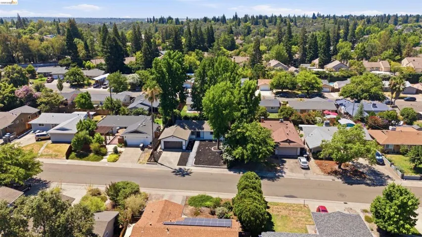 Suburban neighborhood with mature trees and single-story residences