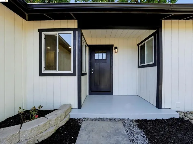 Contemporary entry featuring a black multi-pane front door, white vertical siding, and contrasting black trim