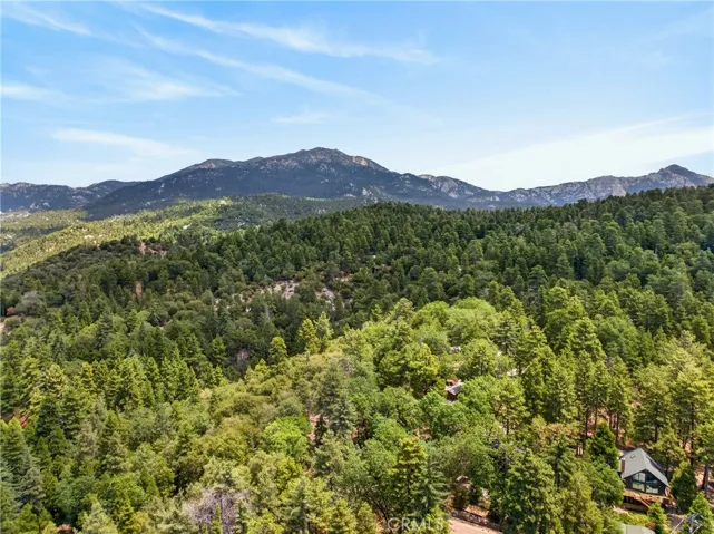 Forest views.