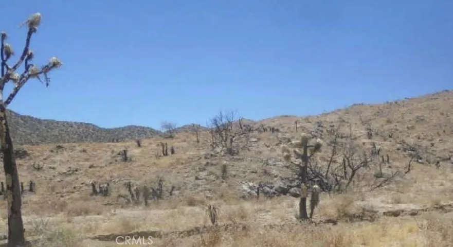 0 N Of Elata Avenue, Yucca Valley, California 92284