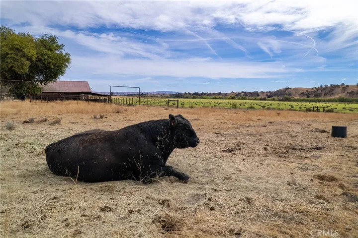 13625 Ea Hwy 46, Paso Robles, California 93446