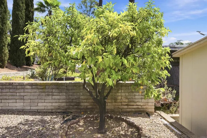 18218 Paradise Mountain Road 148, Valley Center, California 92082