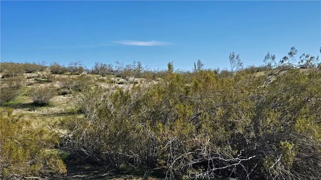 0 Near United St & Barrington Ave, Rosamond, California 93560 — photo 5