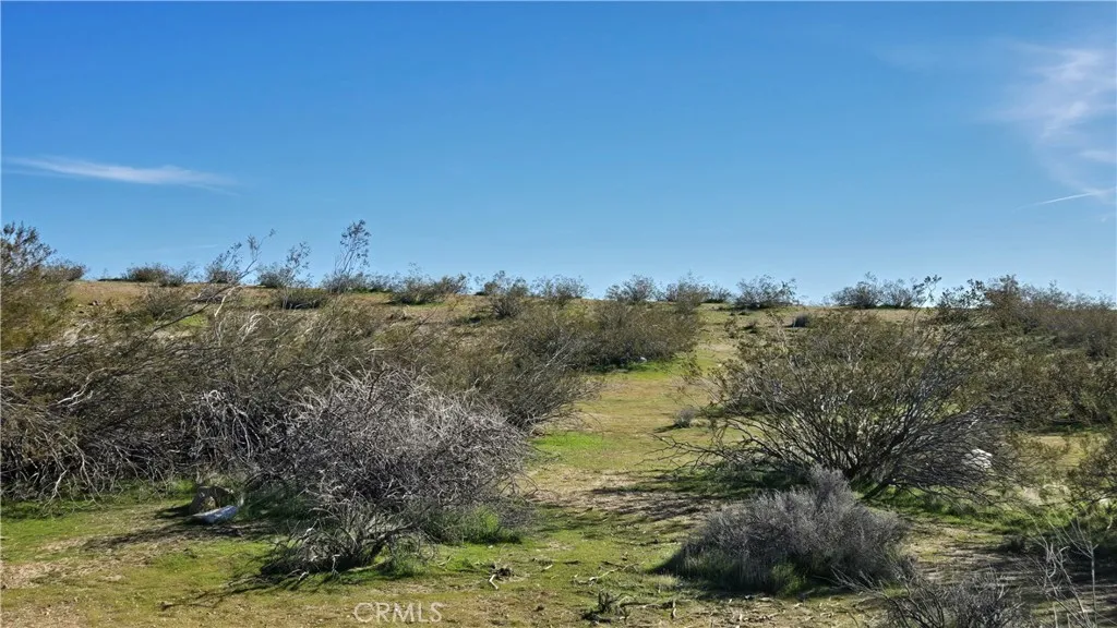 0 Near United St & Barrington Ave, Rosamond, California 93560 — photo 4