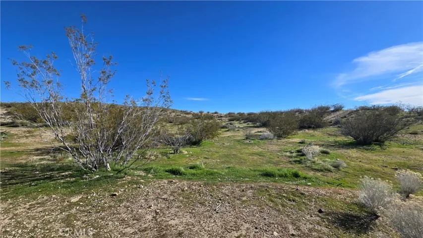 0 Near United St & Barrington Ave, Rosamond, California 93560