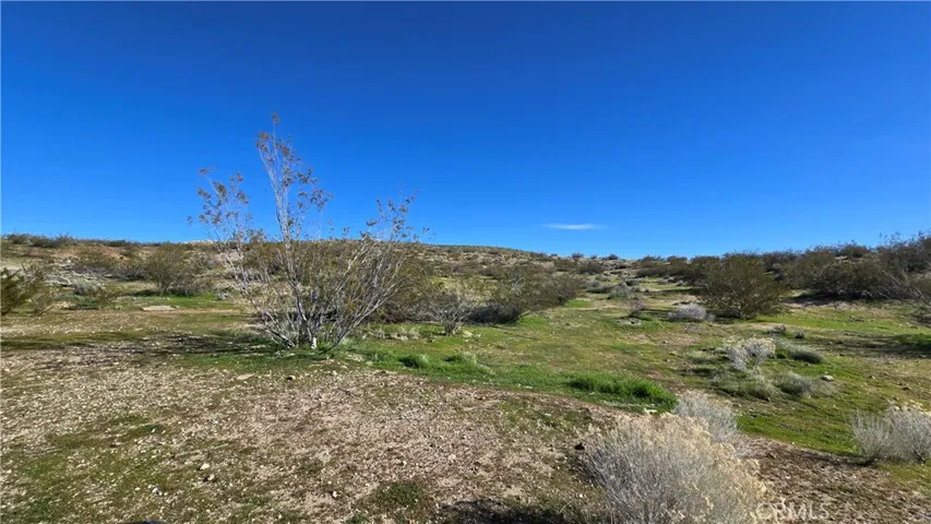 0 Near United St & Barrington Ave, Rosamond, California 93560