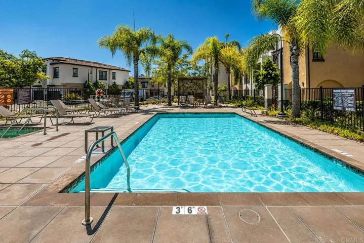 Amenities - Sunny resort pool with palm trees